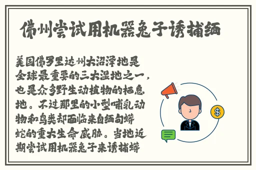 无尺码精品产品网站